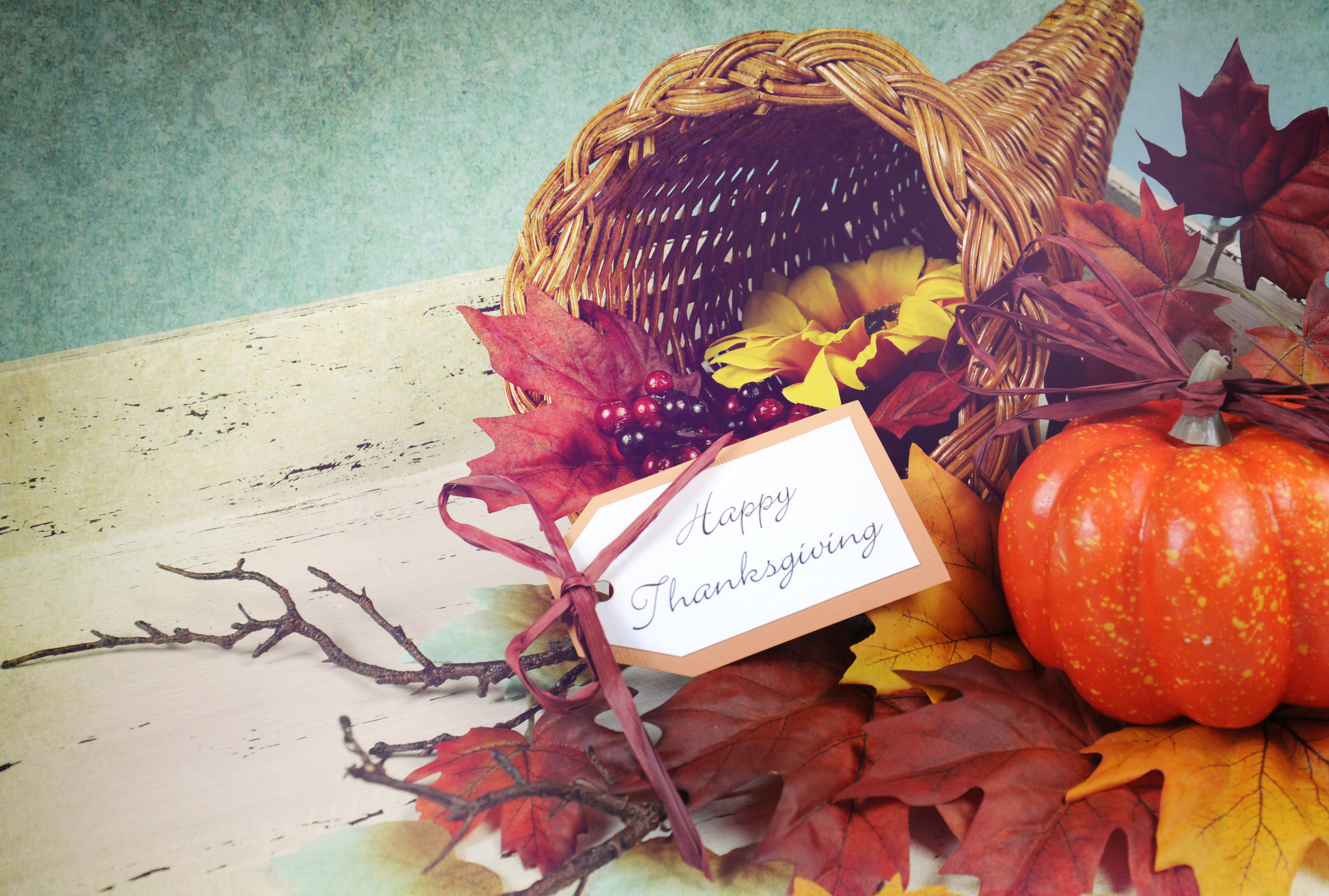 A Thankful Time of Year